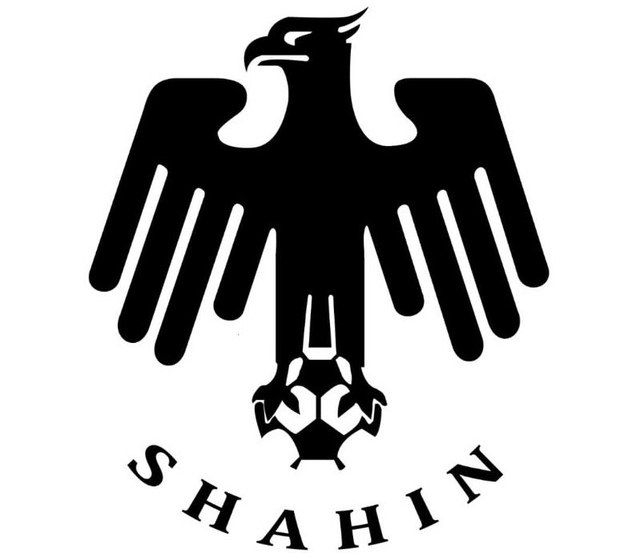 بیانیه باشگاه شاهین بوشهر در خصوص تیمداری